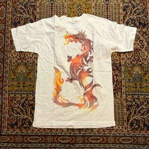 🌈 Cool fire dragon shirt